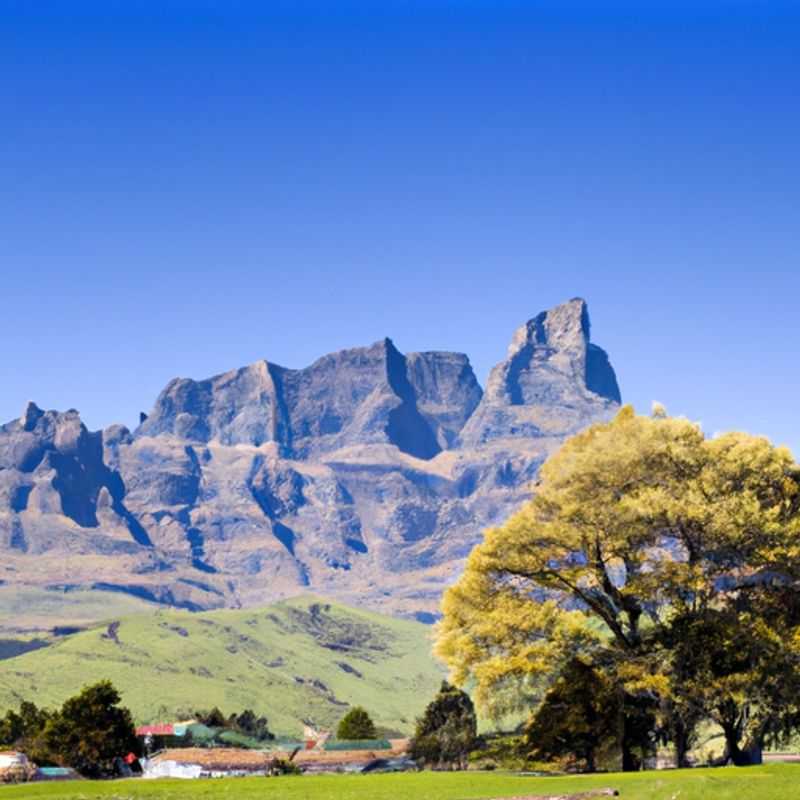 Drakensberg Amphitheatre - An Autumn Rhapsody