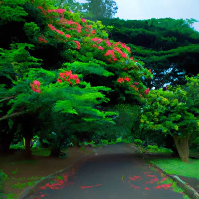 Escape to Tranquility: A Lakeside Winter Getaway in Entebbe Botanical Gardens