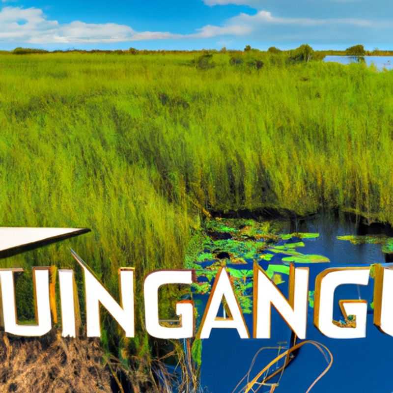 Unveiling the Secrets of the Okavango Delta: A Winter Scenic Flight Adventure in Botswana