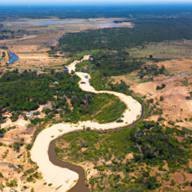 Hiking through the verdant heart of Kirindy Forest: A Madagascar spring awakening