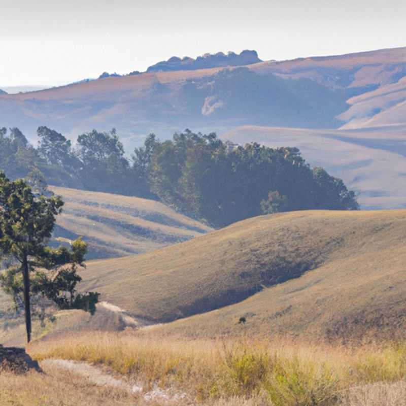 A group of six intrepid travelers embark on an unforgettable 5-day winter adventure in Nyika Plateau, Malawi. With its rolling grasslands, majestic wildlife, and breathtaking views, Nyika Plateau offers a unique and unforgettable wilderness experience.