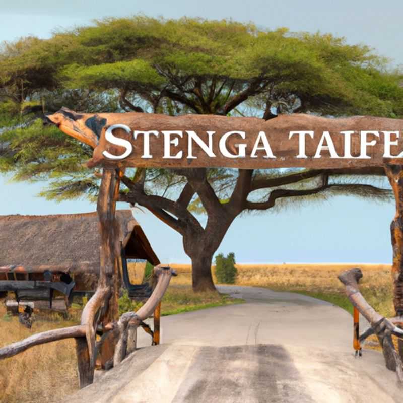 Exploring the Serengeti from Above: A Hot Air Balloon Safari