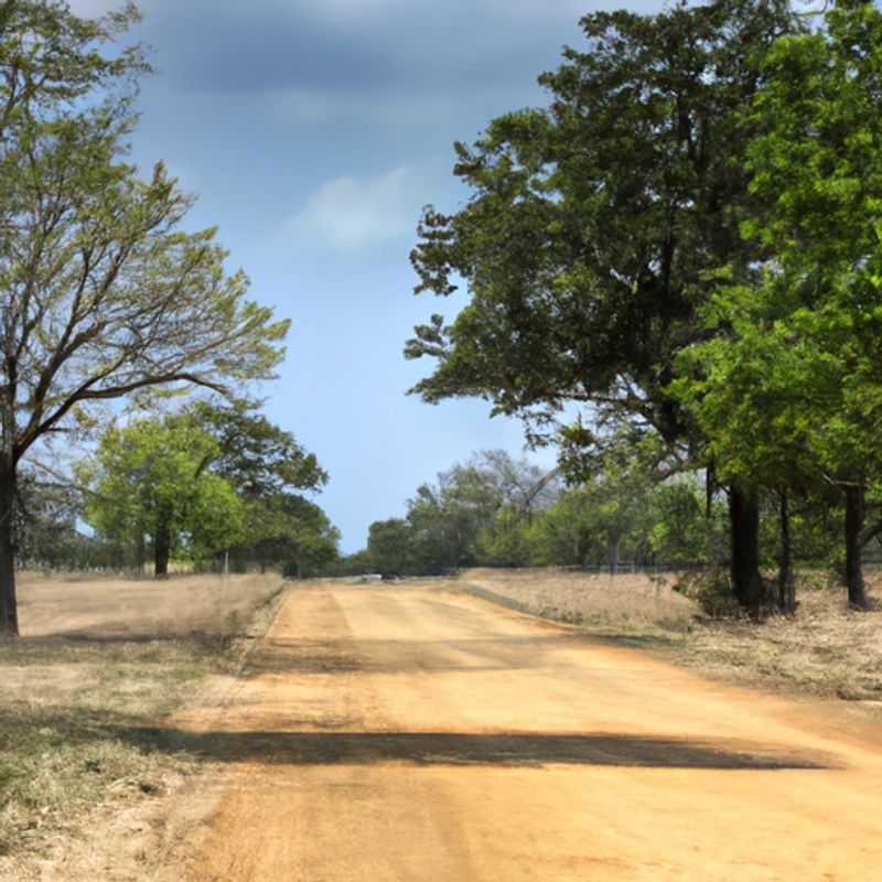 A group of six adventurers embarking on an unforgettable journey through the untamed wilderness of Kruger National Park, South Africa, during the captivating transition between summer and fall, capturing the vibrant convergence of seasons and the park's diverse wildlife.