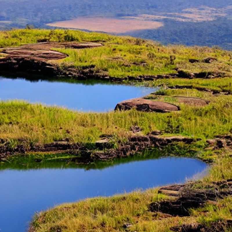 Nyika Plateau's Mystical Mysteries &#38; Your Medical Kit&#58; A Guide to Safe Adventuring in Malawi<h3>Malaria&#44; Myths&#44; and Mountains&#58;  Packing Your Pharmacy for a Nyika Plateau Expedition</h3><h3>Beyond Band&#45;Aids&#58;  Essential Health Tips for Unveiling Nyika's Secrets</h3><h3>Spirits&#44; Sunstroke&#44; and Smart Packing&#58; A Traveler's Guide to Nyika Plateau Wellness</h3><h3>From Ancient Legends to Modern Medicine&#58; Staying Healthy on Your Nyika Adventure</h3><h3>Nyika Plateau's Hidden Dangers (and How to Avoid Them)&#58; A Health &#38; Safety Handbook</h3><h3>The Nyika Plateau's Call&#58; Preparing Your Body &#38; Mind for a Journey Through Time</h3><h3>Avoiding the 'Curse of the Plateau'&#58; Practical Health Advice for Nyika Travelers</h3><h3>Wildlife Encounters &#38; Wellness&#58; A Guide to Staying Safe &#38; Healthy in Nyika National Park</h3><h3>Unraveling Nyika's History&#58;  A Health&#45;Conscious Approach to Your Malawian Adventure</h3>