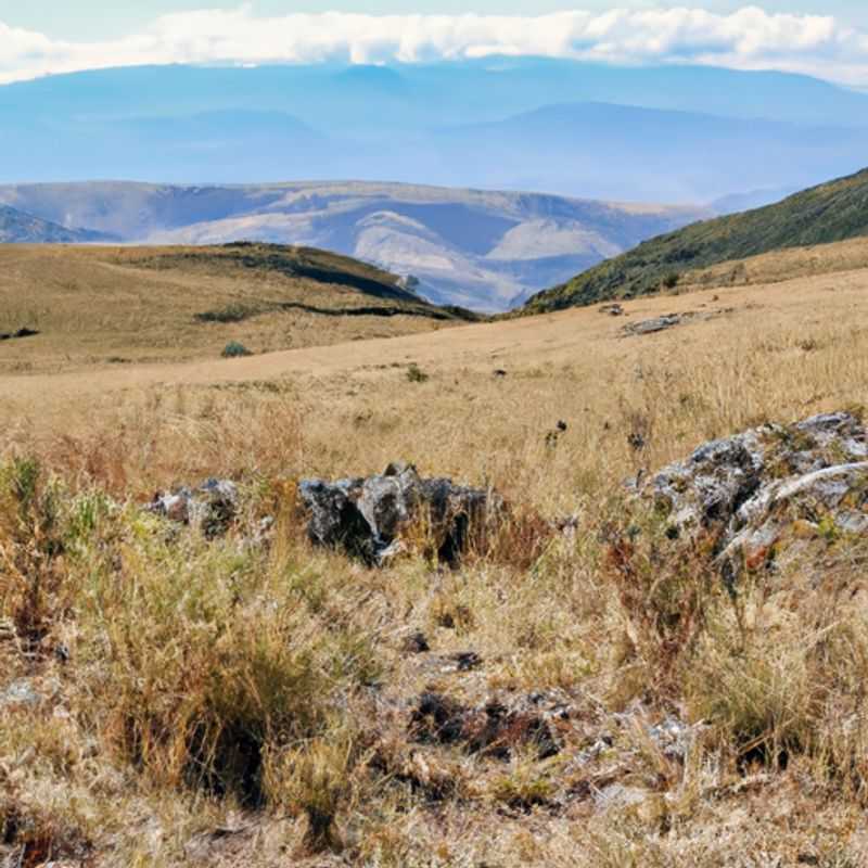 A Journey Through the Untamed Nyika Plateau in Malawi: Winter Wonders at Chelinda Camp and Lodge