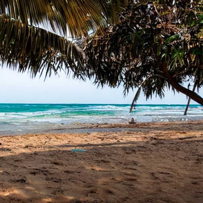 ¡Ay, Caramba! Descifrando el Coco en Cotonú: Rompiendo Barreras Lingüísticas en las Playas de Benín<h3>Cotonú: Playa, Sol... ¡y un Poco de Mimica! Consejos de Seguridad para Comunicarte sin Hablar Francés</h3><h3>Más Allá de las Palabras: Supervivencia Lingüística y Seguridad en las Playas de Cotonú</h3><h3>Leyendas, Mitos y… ¡Malentendidos!: Navegando las Aguas Turísticas de Cotonú con Ingenio (y un Diccionario)</h3><h3>Cuando el "Bonjour" no Basta: Aventuras, Arqueología y Seguridad en las Playas de Benín</h3><h3>El Enigma de Cotonú: Descifrando la Comunicación y Asegurando tu Aventura en las Playas Beninesas</h3><h3>De Coco a... ¿Qué?: Una Guía para Comunicarte (y Estar Seguro) en las Playas de Cotonú</h3>