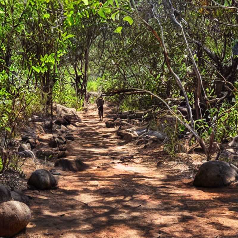 Isalo National Park, Madagascar : Un été enchanteur sous le soleil malgache ?<h3>Déguster les saveurs d'Isalo : un festin en plein air</h3><h3>Isalo en été : Mon expérience personnelle et mes conseils pour un voyage réussi</h3><h3>L'aventure malgache : Sécurité et sérénité à Isalo</h3><h3>La splendeur d'Isalo : Au-delà des paysages, une immersion culturelle</h3><h3>Découvrir Isalo autrement : Au cœur du parc, une escapade glamour</h3>