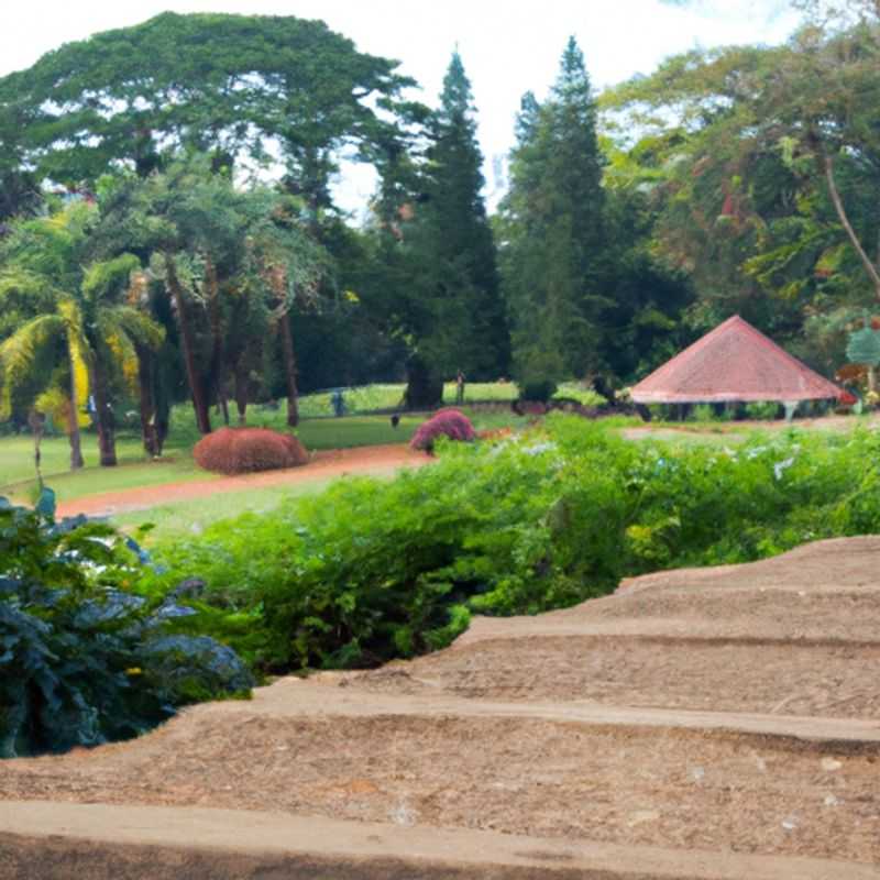 Bird Watching in Entebbe Botanical Garden, Uganda: A Symphony of Avian Delights Amidst Verdant Beauty