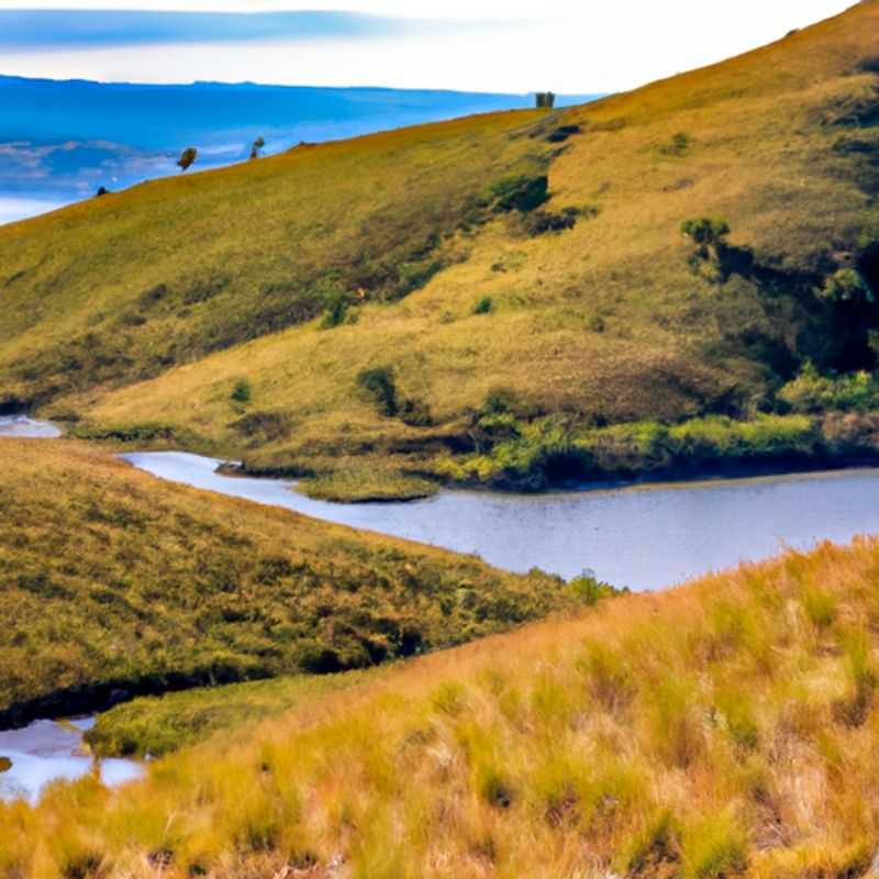 Birdwatching and Winter Wonders in Nyika Plateau, Malawi
