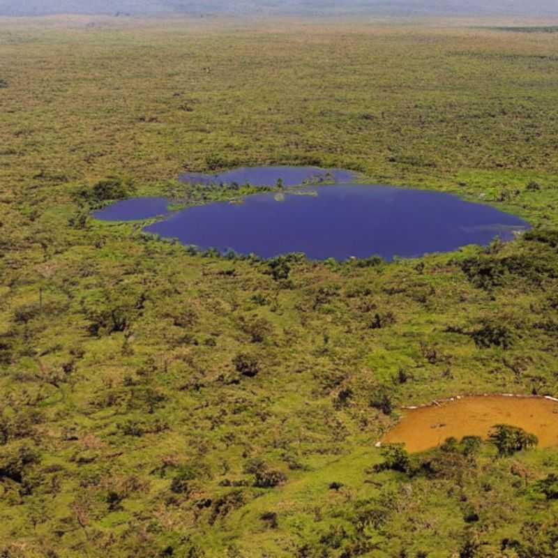 Akagera's Emergency SOS: Crocodile Encounters & Cell Service (Spoiler: The Crocs Win the Cell Phone Battle!)<h3>Lions, Hyenas, and... Hospitals? Your Akagera National Park Medical Survival Guide</h3><h3>Beyond the Bush: Navigating Akagera's Emergency Services – A Tourist's Tale</h3><h3>Akagera Adventures: When the Safari Turns Serious – Safety Tips & Emergency Prep</h3><h3>From Gorilla Trekking to Getting Help: Your Practical Guide to Akagera Safety</h3><h3>Mythbusters: Akagera's Medical Myths & the Reality of Emergency Care</h3><h3>The Shaman's Secret & the Smartphone: Balancing Legend and Logic in Akagera's Wilderness</h3><h3>Akagera's First-Aid Fairy Tales (and the Very Real Need for Travel Insurance)</h3><h3>Lost in the Savanna? Finding Your Way Back (and to Emergency Help) in Akagera</h3><h3>Wildlife Encounters & Emergency Response: Your Akagera National Park Safety Checklist</h3>