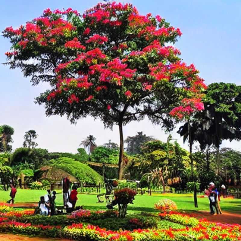 L'abondance de produits frais et locaux à la base de la délicieuse cuisine italienne : Entebbe et ses jardins botaniques, une bonne option pour des vacances d'été en Ouganda ?<h3>Entebbe : Paradis botanique pour vacances estivales en Ouganda ? Conseils d'un guide expert pour un voyage sûr et authentique.</h3><h3>Jardins botaniques d'Entebbe : Évasion estivale en Ouganda - Secrets pour un voyage économique et riche en culture.</h3><h3>Ouganda : Été à Entebbe - Explorez les jardins botaniques et évitez les pièges à touristes.</h3><h3>Vacances estivales en Ouganda : Entebbe et ses jardins botaniques – Un voyage responsable et immersif au cœur de la culture ougandaise.</h3><h3>Découvrir Entebbe autrement : Conseils pratiques pour des vacances estivales économiques et authentiques.</h3>