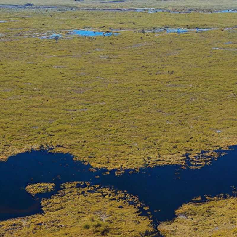 Okavango Delta Adventure: Dodging Hippos & Political Headwinds – A Guide to Safe Exploration!<h3>Whispers of Unrest in the Okavango: Fact, Fiction, and Your Safety in Paradise</h3><h3>More Than Just Hippos: Navigating Political Currents in Botswana's Okavango Delta</h3><h3>Ancient Myths & Modern Matters: A Traveler's Guide to Political Stability in the Okavango</h3><h3>Exploring the Okavango Delta: Balancing Adventure with Smart Safety Practices (and Avoiding the Local Gossip!)</h3><h3>Safaris & Security: A Practical Guide to Staying Safe in Botswana's Okavango Delta</h3><h3>The Okavango's Secret History: Uncovering Legends & Addressing Potential Political Risks</h3><h3>Botswana's Jewel: Understanding the Political Landscape of the Okavango Delta for a Smooth Trip</h3><h3>From Myths to Maps: Your Guide to Safe & Rewarding Travel in the Okavango Delta</h3><h3>Unraveling the Mysteries of the Okavango: Adventure, History, and Staying Safe in Uncertain Times</h3>