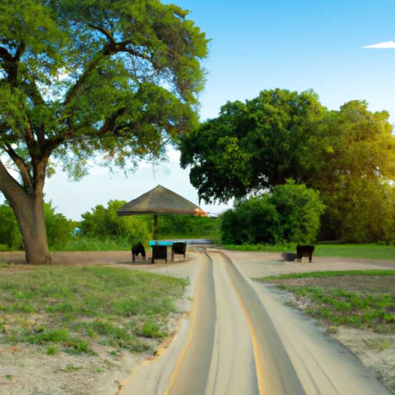 Ruaha's Winter Wonderland&#58; An Unforgettable Game Drive Adventure