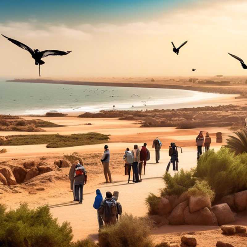 Uncorking Essaouira's Secrets: A Journey Through Morocco's Cork Forests