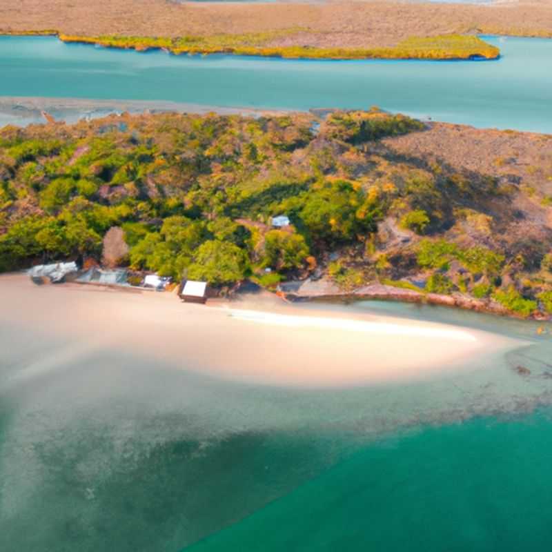Pemba Flying Foxes: An Autumnal Encounter in Tanzania's Pristine Island Paradise