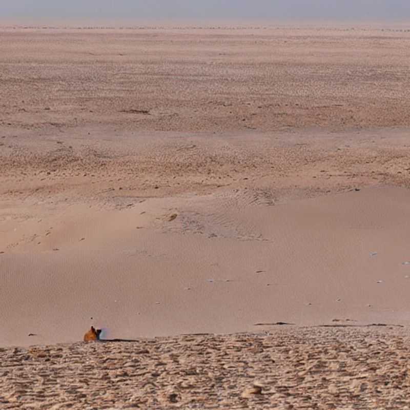 Sahara Summer&#58; Sun&#45;Kissed Adventures or Scorching Sands? A Guide to Desert Delights<h3>Morocco &#38; Tunisia in Summer&#58; Is the Sahara Desert Too Hot for a Holiday?</h3><h3>Beat the Heat&#58; Exploring the Sahara Desert Responsibly in Summer</h3><h3>Sahara Summer Escape&#58; Finding Cool Comfort &#38; Thrilling Adventures</h3><h3>Discovering the Magic of the Sahara&#58; Summertime Safety &#38; Sightseeing Tips</h3><h3>Sun&#44; Sand&#44; and Serenity&#58; Your Guide to a Safe &#38; Enjoyable Sahara Summer</h3><h3>Beyond the Dunes&#58; Uncovering Hidden Gems in the Moroccan &#38; Tunisian Sahara</h3><h3>Summer in the Sahara&#58; Balancing Adventure with Comfort and Safety</h3><h3>Is the Sahara Desert Right for You in Summer?  A Practical Guide</h3><h3>Exploring the Sahara Desert&#58; A Summer Holiday Checklist for Safe &#38; Fun Adventures</h3>