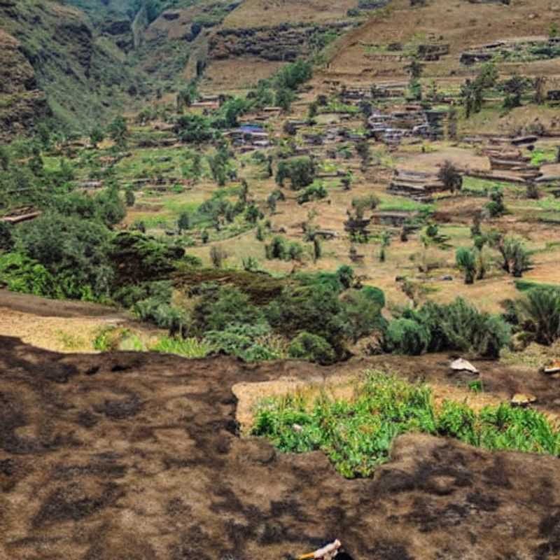¿Es el Parque Nacional de las Montañas Simien, Etiopía, ideal para unas vacaciones de verano? Aproveche al máximo las largas horas de luz solar<h3>Simien Mountains en verano: Consejos para un viaje seguro y económico</h3><h3>Descubriendo las Montañas Simien: Más allá de los senderos turísticos (y cómo ahorrar)</h3><h3>Etiopía en verano: Explorando las Simien de forma auténtica y segura</h3><h3>Las Simien: Un viaje cultural e histórico más allá de las expectativas (con presupuesto ajustado)</h3><h3>El Parque Nacional de las Simien: Evite las trampas para turistas y descubra su verdadera belleza</h3><h3>Consejos prácticos para viajar a las montañas Simien en verano</h3><h3>Cómo maximizar su tiempo en las Simien con las largas jornadas de luz solar</h3><h3>Seguridad y economía en las montañas Simien: Una guía para viajeros conscientes</h3><h3>Inmersión cultural en las montañas Simien: Experiencias auténticas y fuera de lo común</h3>