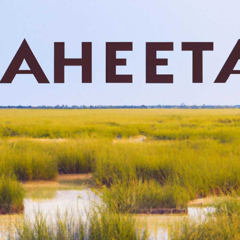 Unveiling Makgadikgadi Pans&#58; Top 5 Experiences for Groups &#45; Kubu Island&#44; Nata Bird Sanctuary&#44; Planet Baobab&#44; Safari Drive&#44; Salt Pans Visit