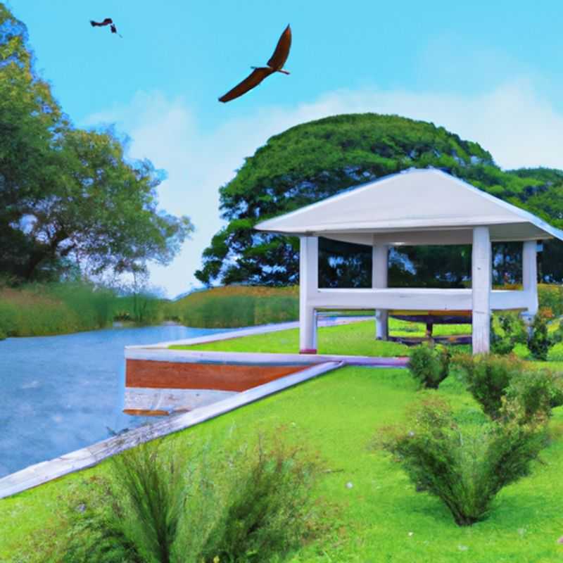 Deux couples, les Weekend Travelers, se promenant dans les magnifiques jardins botaniques d'Entebbe en Ouganda lors de leur séjour de trois semaines pendant l'automne, découvrant la beauté et la diversité de la nature africaine.