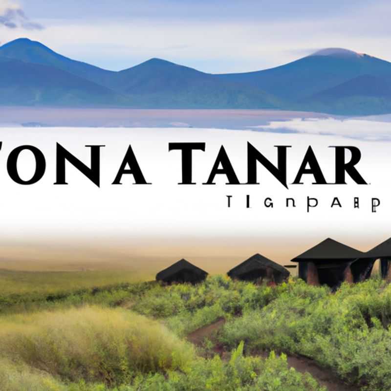 Birdwatching in Ngorongoro Conservation Area: A Summer and Fall Spectacular