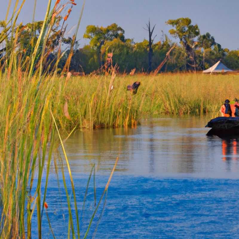 Four intrepid travelers navigate the serene waterways and encounter the abundant wildlife of the Okavango Delta, Botswana, during their weeklong winter expedition, where nature's wonders unfold at every bend.