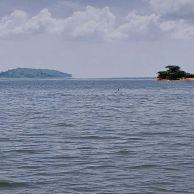 Lake Victoria: Beats, Beasts, and a Big Summer Splash! (Is it REALLY a Holiday Hotspot?)<h3>Festivals, Folklore, and Flamingos: A Lake Victoria Summer Extravaganza!</h3><h3>Unmasking the Mysteries of Lake Victoria: Myths, Legends, and a Sun-Kissed Summer Getaway</h3><h3>From Sacred Sites to Sun-Drenched Shores: A Cultural Journey Around Lake Victoria</h3><h3>Victoria's Vibrant Pulse: Summer Festivals and Safe Travel Tips</h3><h3>Lake Victoria's Hidden Gems: A Summer Adventure Beyond the Tourist Trail (and How to Stay Safe!)</h3><h3>Balancing the Sacred and Secular: Experiencing Lake Victoria's Cultural Festivals Responsibly</h3><h3>The Great Lake Victoria Safari: Wildlife, Wonders, and a Wise Traveler's Guide</h3><h3>Is Lake Victoria the Perfect Summer Escape? A Guide to Festivals, Safety, and Unforgettable Moments</h3><h3>Decoding Lake Victoria: History, Heritage, and a Holiday to Remember (With Safety First!)</h3>