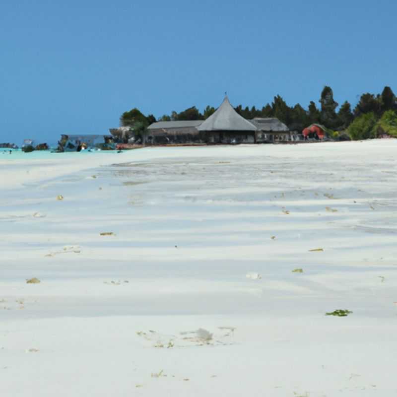 Aromatic Delights&#58; Embark on a Spice Odyssey in Zanzibar