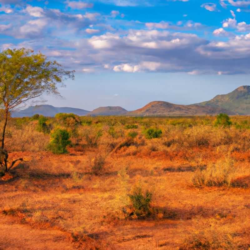 A group of four intrepid travelers embark on a thrilling safari adventure in Tsavo National Park, Kenya, during the shoulder season between winter and spring, capturing the essence of the park's diverse landscapes and abundant wildlife.