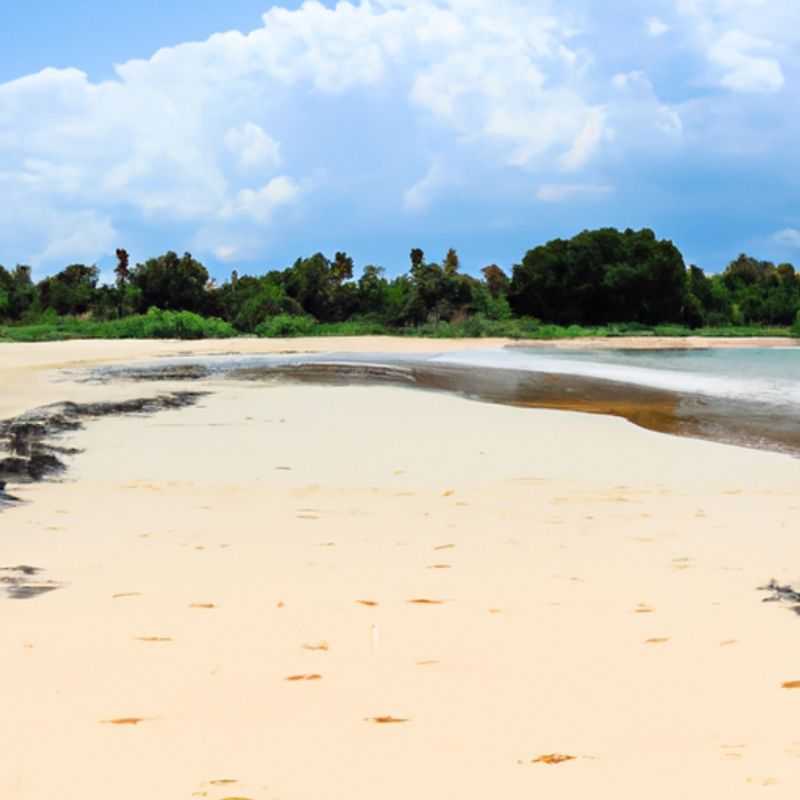 Dive into the Enchanting Coral Reefs of Tiwi Beach: A Snorkeling Adventure in Kenya's Coastal Paradise