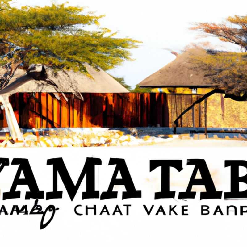 Why You Need to Visit Etosha Pan in Winter