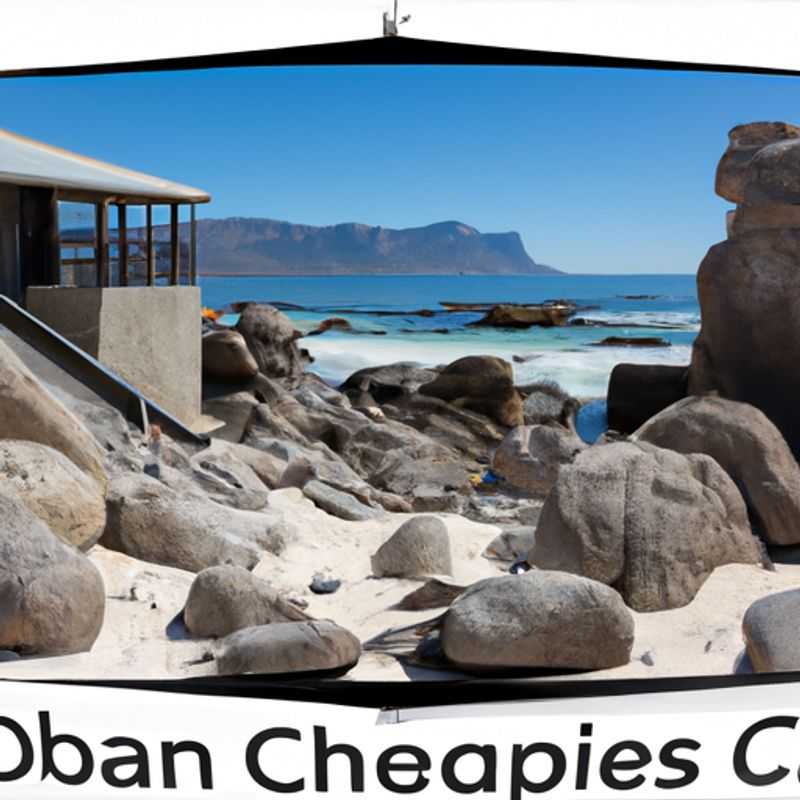 Cape of Good Hope Nature Reserve: A Fall Foliage Adventure in Cape Point, South Africa