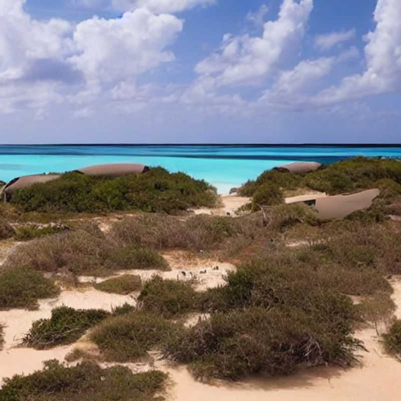 Ilha de Bazaruto, Moçambique: Um paraíso tropical com praias de areia branca e águas cristalinas.