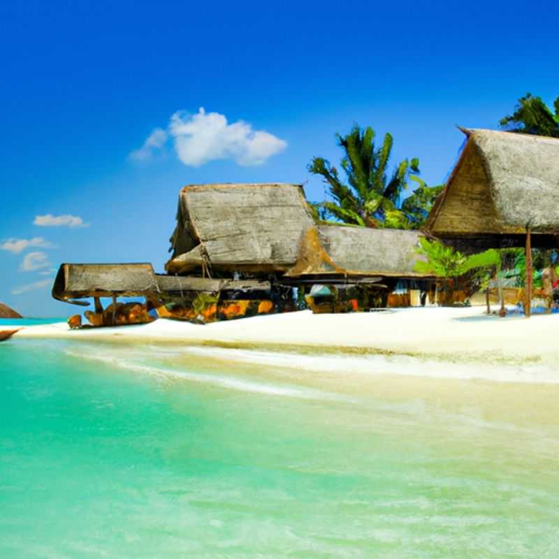 Exploring the Lush Greenery of Jozani Chwaka Bay National Park in Zanzibar: A Summer to Fall Journey