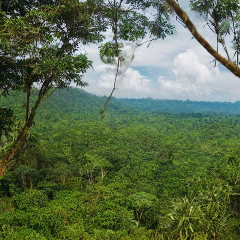 Here are a few options for alt text, each with a slightly different emphasis: