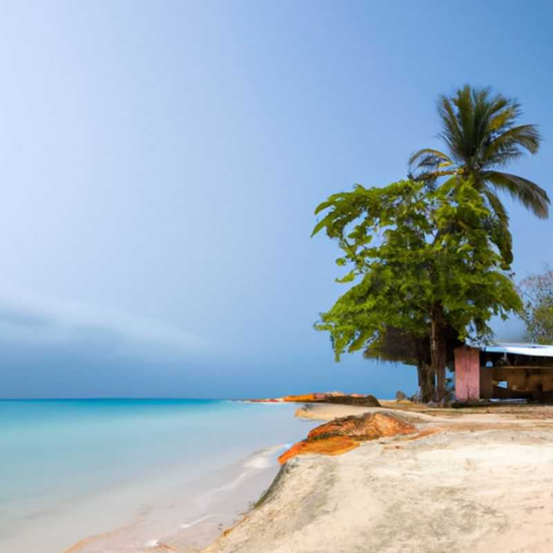 Bijagós Archipelago Adventure&#58; João Vieira and Poilão Marine National Park&#44; Orango Islands National Park&#44; Bubaque Island Village Tour