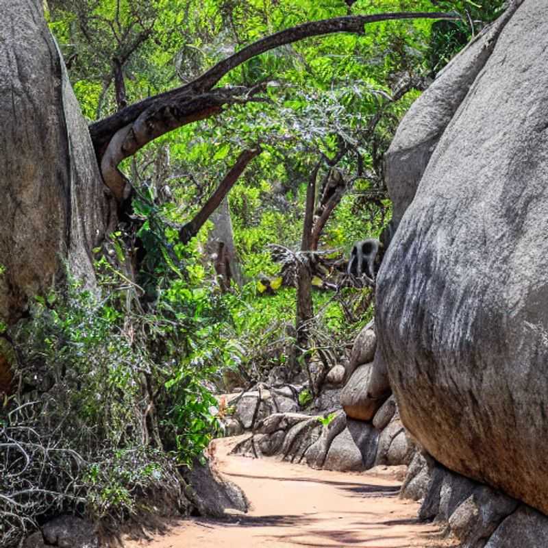 Here are a few options for alt text, each with a slightly different emphasis: