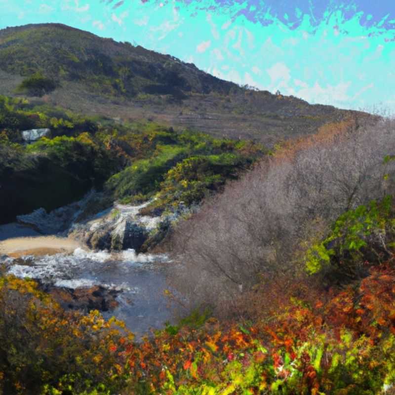 A group of four adventurers embarked on an unforgettable 3-week journey through the breathtaking Tsitsikamma National Park, South Africa, during the vibrant hues of fall. Surrounded by lush forests, cascading waterfalls, and rugged coastline, they immersed themselves in the park's natural splendor.