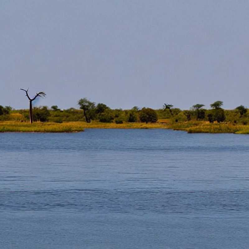 Chobe no Verão&#58; Preços mais altos&#44; mas vale a pena?<h3>Chobe em Julho&#58; Um paraíso com preços de alta temporada?</h3><h3>Safari de Verão em Chobe&#58; Aventura sob o sol escaldante (e preços mais altos!)</h3><h3>Chobe no verão&#58; Descubra a beleza do Parque Nacional apesar dos custos mais elevados</h3><h3>Planejando sua viagem a Chobe no verão&#58; Como economizar em acomodação e voos?</h3><h3>O calor de Chobe&#58; Vale a pena visitar o Parque Nacional no verão?</h3><h3>A magia de Chobe&#58; Explore o parque mesmo com preços de alta temporada</h3><h3>Chobe no verão&#58; Um guia para uma viagem segura e inesquecível</h3><h3>Verão em Chobe&#58; Preços altos&#44; mas experiências ainda mais memoráveis</h3><h3>Descubra Chobe no verão&#58; Um guia para viagens seguras e confortáveis</h3>