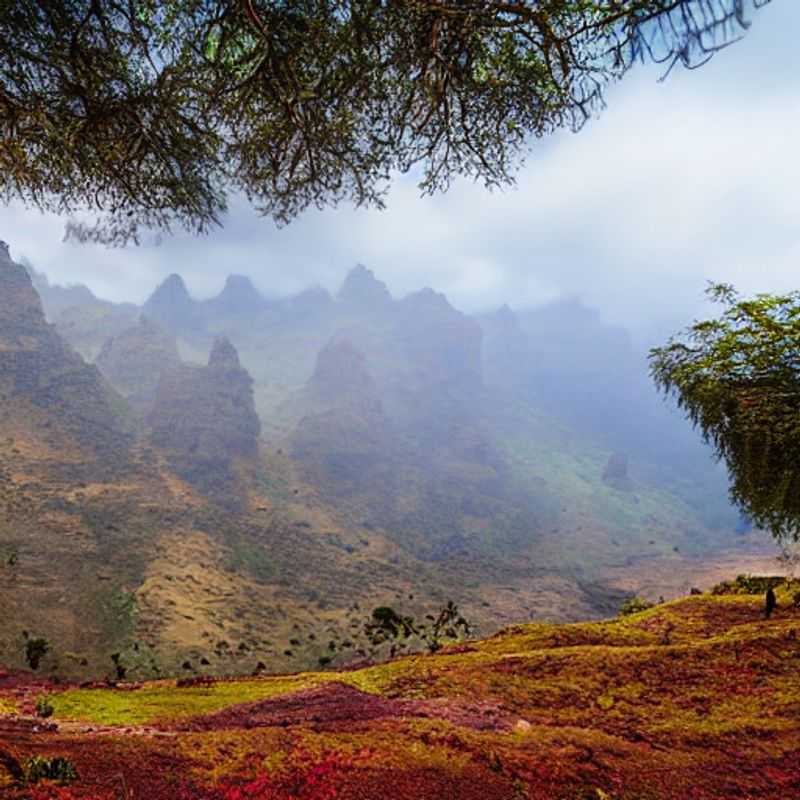 Simien Mountains in Summer&#58; A Romantic Escape Above the Clouds?<h3>Ethiopia's Simien&#58; Sunsets&#44; Stars&#44; and Sweet Nothings (A Summer Romance?)</h3><h3>Honeymoon in the Highlands&#58; Is the Simien Mountains National Park Right for You in Summer?</h3><h3>Beyond the Tourist Trail&#58; A Summer Romance in Ethiopia's Simien Mountains</h3><h3>Simien Mountains Summer Solstice&#58;  Love Among the Peaks</h3><h3>Cooler Heads&#44; Warmer Hearts&#58;  A Summer Adventure in the Simien</h3><h3>Ethiopian Escapade&#58;  Is the Simien Mountains National Park a Summer Love Story Waiting to Happen?</h3><h3>Stargazing and Sweethearts&#58; A Unique Summer Getaway in the Simien Mountains</h3>