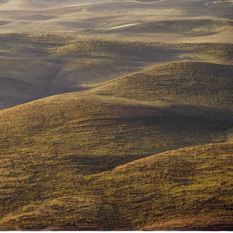 Nyika Plateau&#44; Malawi &#58; Un Été Ensoleillé et Sans Foule !<h3>Moins de Touristes&#44; Plus de Plaisir &#58; Le Plateau Nyika en été</h3><h3>L'été au Malawi &#58; Découvrir le Plateau Nyika en toute sérénité</h3><h3>Nyika Plateau &#58; Votre Oasis de Paix pour des Vacances d'été inoubliables</h3><h3>Échapper à la foule &#58; Le charme discret du Plateau Nyika pendant l'été</h3><h3>Vacances estivales au Malawi &#58; Explorez le magnifique Plateau Nyika !</h3><h3>Conseils pour un voyage sûr et enchanteur sur le Plateau Nyika</h3><h3>Mon expérience personnelle &#58; Un été magique sur le Plateau Nyika</h3><h3>Le Plateau Nyika &#58; Un secret bien gardé du Malawi à découvrir cet été</h3><h3>Un été au cœur de la nature &#58; Le Plateau Nyika&#44; une destination idéale</h3>