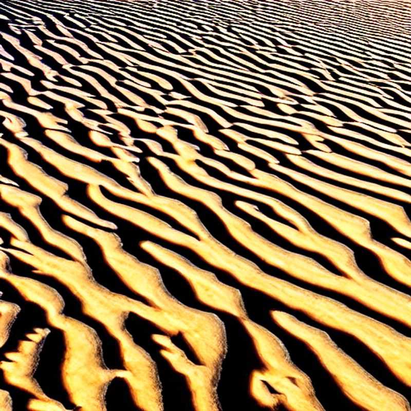 Sossusvlei en été : le soleil tape, mais les prix dégringolent ! (Aventure, mythes et… bonnes affaires)<h3>Chaleur namibienne et promos alléchantes : Sossusvlei, une bonne idée pour des vacances estivales ?</h3><h3>Sossusvlei sous le soleil de plomb : enquête sur les dunes, les légendes et les meilleurs deals de l’été !</h3><h3>Mystères des dunes et soleil estival : Sossusvlei, destination vacances ou mirage brûlant ? (Conseils de voyage inclus)</h3><h3>Le guide malin de Sossusvlei en été : des dunes, des réductions et un brin d’aventure pour des vacances inoubliables</h3>