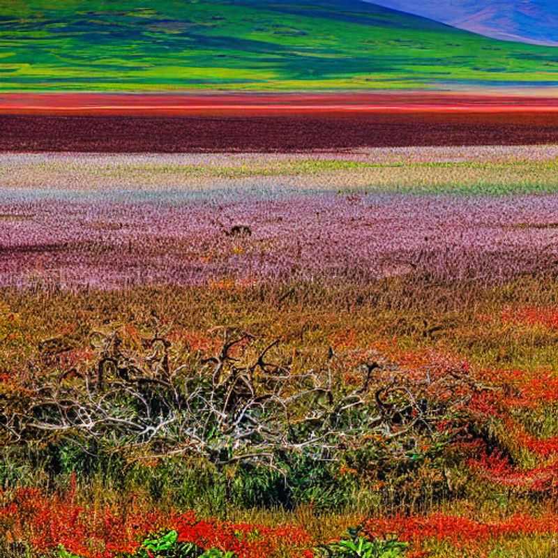 A vista deslumbrante da Cratera de Ngorongoro, na Tanzânia, vibrante e verdejante sob o sol de verão, questionando se este paraíso é o destino ideal para suas férias de verão. (The breathtaking view of the Ngorongoro Crater, in Tanzania, vibrant and lush under the summer sun, questioning if this paradise is the ideal destination for your summer holiday.)