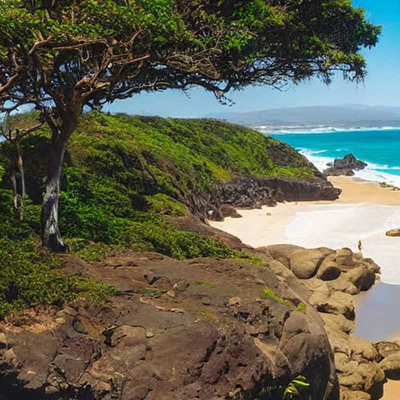 Casal aproveitando o sol dourado e as ondas azuis vibrantes de Cape Vidal, um paraíso tropical na África do Sul, provando que é o destino perfeito para férias de verão. (Couple enjoying the golden sun and vibrant blue waves of Cape Vidal, a tropical paradise in South Africa, proving it's the perfect summer holiday destination.)