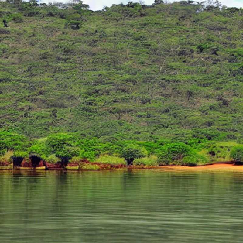Akagera's Instagrammable Escapes: Luxury Lodges & Last-Minute Safari Rides (Budget Breakdown Included!)<h3>Chasing Zebras & Zillionaire Views: Luxury Transport in Akagera National Park for the Impatient Traveler</h3><h3>From Crater Lakes to Killer Content: Your Guide to Affordable Luxury in Akagera (Social Media Ready!)</h3><h3>Rwanda's Royal Rides: Unveiling Akagera's Hidden Gems (on a Budget, Naturally)</h3><h3>Luxury Safaris on a Shoestring: Akagera's Best Kept Secrets for the Spontaneous Soul</h3><h3>Akagera's Instagram-Worthy Adventures: Balancing Budget & Bliss (Last-Minute Safari Tips)</h3><h3>The Last-Minute Luxury Safari: Akagera's Finest Lodges & How to Reach Them (Without Breaking the Bank)</h3><h3>Gorilla Trekking & Glamour: Planning the Perfect Akagera Trip (Even if You're Short on Time!)</h3><h3>Beyond the Gorillas: Uncovering Akagera's Hidden Luxury (and Staying Safe While You're at It)</h3><h3>Secrets of Akagera: Luxury Travel on a Budget, and Avoiding Those Pesky Tourist Traps</h3>