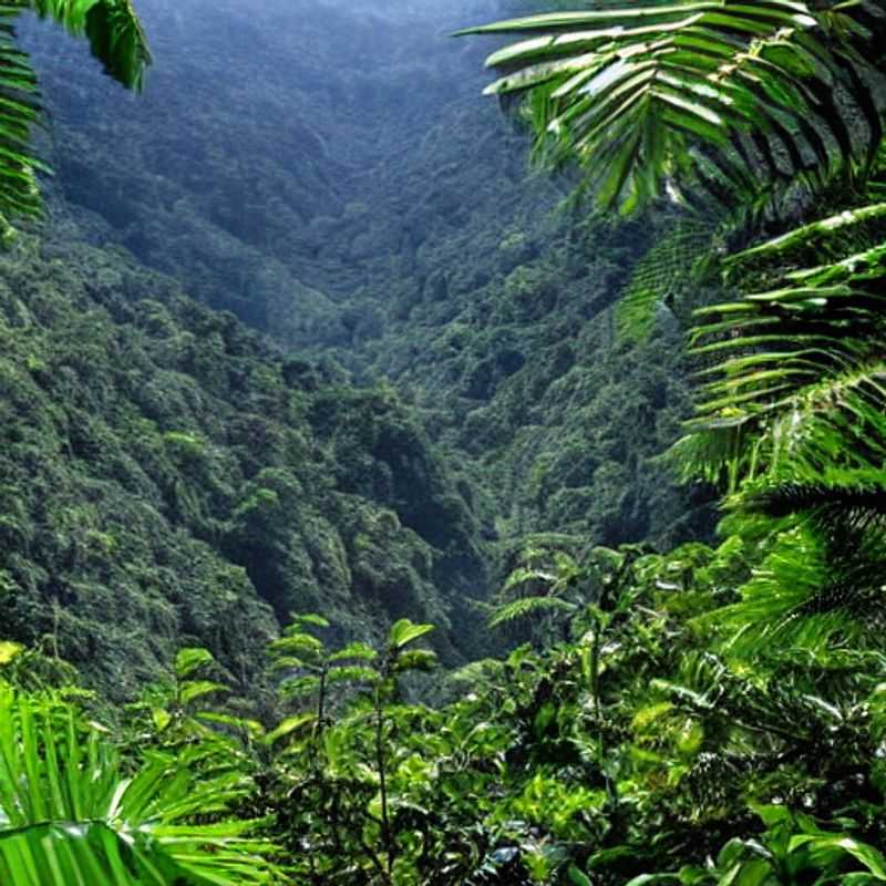 Disponibilité des activités saisonnières : Les meilleurs endroits luxueux pour les médias sociaux dans la forêt impénétrable de Bwindi, en Ouganda, pour le voyageur festivalier<h3>Activités saisonnières en Ouganda : Guide pour un voyage sûr et économique dans la forêt de Bwindi</h3><h3>Bwindi Impénétrable : Où trouver les expériences authentiques (et Instagrammables!)</h3><h3>Forêt de Bwindi : Éviter les pièges à touristes et découvrir le vrai visage de l'Ouganda</h3><h3>Voyage responsable et luxueux à Bwindi : Conseils pour un impact positif</h3><h3>Explorer Bwindi avec un budget : Activités et hébergements abordables pour tous</h3><h3>Le meilleur moment pour visiter Bwindi : Un calendrier des activités et des événements</h3><h3>Découvrir la culture locale à Bwindi : Au-delà des sentiers battus</h3><h3>Photographier Bwindi : Conseils pour des clichés uniques et respectueux</h3><h3>Sécurité et bien-être à Bwindi : Conseils pratiques pour un voyage sans encombre</h3>