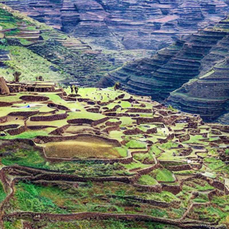 ¿Es el Parque Nacional de las Montañas Simien&#44; Etiopía&#44; ideal para unas vacaciones de verano? Temperaturas agradables para excursiones más largas.<h3>Simien&#58; Un Verano Fresco en las Alturas Etíopes &#45; Consejos para un viaje seguro y económico.</h3><h3>El Parque Nacional Simien en verano&#58; Evitando las trampas turísticas y descubriendo la auténtica Etiopía.</h3><h3>Ahorra y disfruta&#58; Guía práctica para explorar las Montañas Simien en verano.</h3><h3>Simien en verano&#58;  Inmersión cultural y senderismo responsable en un paraíso etíope.</h3><h3>Descubriendo las Montañas Simien&#58; Un viaje económico y seguro a través de la historia y la naturaleza.</h3><h3>El clima veraniego de Simien&#58; Aprovechando las temperaturas ideales para explorar con tranquilidad.</h3><h3>Más allá de los tours&#58; Experiencias auténticas en el Parque Nacional Simien durante el verano.</h3><h3>Consejos de un experto&#58; Seguridad&#44; economía y cultura en tu viaje de verano a las Montañas Simien.</h3><h3>Simien en verano&#58; Un itinerario para descubrir los tesoros ocultos de Etiopía de forma responsable.</h3>