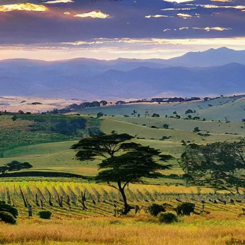 Les marchés de Noël et décorations de fêtes créent une atmosphère festive et romantique &#58; Le plateau Nyika au Malawi est&#45;il idéal pour des vacances d'été ?<h3>Un Noël enchanteur sur le plateau Nyika &#58;  Vacances d'été au Malawi &#45;  Magie et sécurité</h3><h3>Soleil d'été et marchés de Noël &#58;  Mon aventure au Malawi sur le plateau Nyika</h3><h3>Malawi&#44; été indien et marchés de Noël imaginaires &#58;  Un voyage féerique et sûr sur le plateau Nyika</h3><h3>Le plateau Nyika &#58;  Échapper à l'hiver&#44; trouver la magie de Noël en été au Malawi</h3><h3>Vacances d'été au Malawi &#58;  Le plateau Nyika&#44; un Noël estival inoubliable et sécurisé</h3>