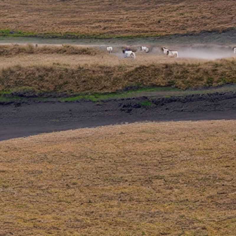 Sabores da Temporada e a Cozinha do Ngorongoro&#58; Um Verão Delicioso?<h3>A Mesa do Ngorongoro&#58; Frutas&#44; Verduras e Especiarias da Estação &#45;  Um Refresco de Verão?</h3><h3>Ngorongoro no Verão&#58; Sol&#44; Safári e... o Que Há no Prato?</h3><h3>Delícias Sazonais do Ngorongoro&#58; Um Banquete sob o Sol da Tanzânia</h3><h3>O Crater Ngorongoro no Verão&#58; Uma Aventura Gastronômica?</h3><h3>Planejando sua Viagem ao Ngorongoro no Verão&#58; Um Guia para os Sabores da Região</h3><h3>Ngorongoro em Julho&#58; Descubra as Maravilhas Culinárias da Temporada!</h3>