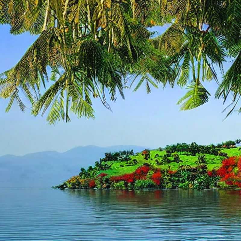 ¿Es el Lago Kivu ideal para unas vacaciones de verano? Temperaturas perfectas para explorar al aire libre<h3>El Lago Kivu: Un oasis de calma y aventura en verano (Consejos para un viaje seguro y económico)</h3><h3>Descubriendo el Lago Kivu: Más allá de los turistas - Una guía para experiencias auténticas</h3><h3>Ahorra y disfruta: Guía práctica para unas vacaciones económicas en el Lago Kivu</h3><h3>El Lago Kivu: Inmersión cultural y seguridad en tu viaje de verano</h3><h3>Historia y naturaleza en el Lago Kivu: Un itinerario para viajeros conscientes</h3><h3>Evita las trampas turísticas: Explora el Lago Kivu de forma auténtica y segura</h3><h3>Consejos para viajar al Lago Kivu: Seguridad, presupuesto y experiencias locales</h3><h3>Verano en el Lago Kivu: El clima perfecto para disfrutar de la naturaleza y la cultura</h3><h3>Planifica tu viaje al Lago Kivu: Un verano inolvidable con un presupuesto ajustado</h3>