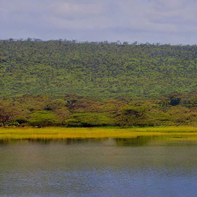 Akagera in Summer&#58; Sun&#44; Safari&#44; and Maybe a Little Mayhem! (Is it REALLY worth the crowds?)<h3>Akagera National Park's Summer Sizzle&#58;  Beat the Heat (and the Tourists!) – A Guide for the Savvy Traveler</h3><h3>Rwanda's Roar&#58; Akagera National Park in Summer – Myth&#44; Mystery&#44; and Managing the Madness!</h3><h3>Akagera National Park Summer Survival Guide&#58;  Avoiding the Tourist Trap (and the Hippos!)</h3><h3>Sun's Out&#44; Hippos Out!  Is Akagera National Park the Right Summer Adventure for YOU? (Spoiler&#58; Maybe!)</h3><h3>Exploring Akagera's Secrets&#58; A Summer Safari with a Side of History (and a Dash of Caution!)</h3><h3>Summer Safari Showdown&#58; Akagera National Park vs. The Tourist Tide – Who Will Win?</h3><h3>Akagera in July&#58;  A Whirlwind of Wildlife&#44; Wonders&#44; and…Wait&#44; Are Those Reduced Opening Hours?</h3><h3>The Akagera Conundrum&#58;  Summer Heat&#44; Packed Trails&#44; and the Quest for the Ultimate Safari Experience</h3><h3>Decoding Akagera's Summer Secrets&#58;  A Guide to Avoiding the Crowds (and Finding the Hidden Gems!)</h3>